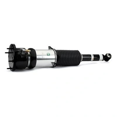 Immagine di Arnott AS 3121 Gamba elastica con ammortiz. pneumatico posteriore AUDI: A8 D4