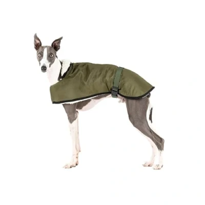 Immagine di Cappotto Impermeabile per Whippets: Stile, Protezione contro il freddo e la pioggia Fodera in Borreguito, Isolamento Termico, Foro Imbracatura Ideale Whippet Levriero Italiano Khaki, L