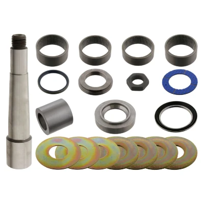 Immagine di FEBI BILSTEIN 39120 Kit riparazione, Perno fuso a snodo
