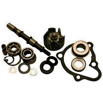 Immagine di KIT REVISIONE POMPA ACQUA COMPATIBILE CON KYMCO XCITING 250 cc