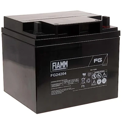 Immagine di FIAMM Batteria Ricaricabile al Piombo FG24204 VDS