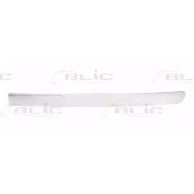 Immagine di Striscia di rivestimento/protezione, griglia del radiatore BLIC 6502 07 5501911P Collegamenti