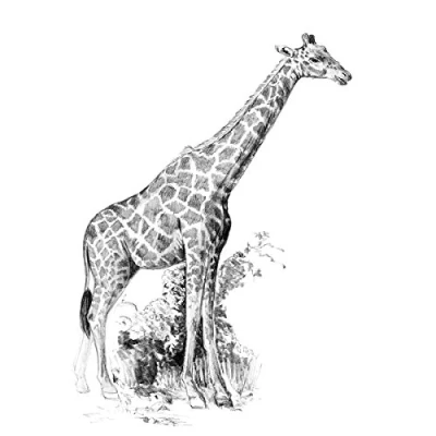 Immagine di ROYAL BRUSH Sketching Made Easy Giraffe Mini Kit, 5 by 7