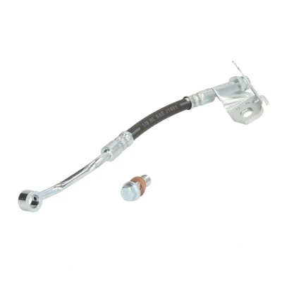Immagine di DELPHI LH7541 Tubi Freno 267 Banjo