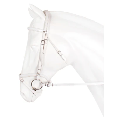 Immagine di Horka Bridle PVC Flashy