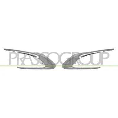 Immagine di Paraurti striscia di rivestimento/protezione BLIC 6502 07 5519919PP