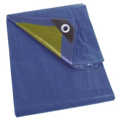 Immagine di Perel Telone, robusto, 12 occhielli, angoli rinforzati, rettangolare, blu/verde, 110 g/m², 2 x 4 m