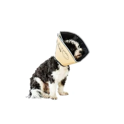 Immagine di All Four Paws, The Comfy Cone, collare a cono per convalescenza, Colore della pelle, Large