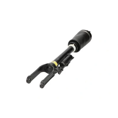 Immagine di KAVO PARTS SAS 10003 Gamba elastica con ammortiz. pneumatico Assale anteriore MERCEDES BENZ: Classe ML