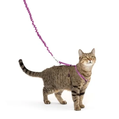 Immagine di PetSafe, come with Me Kitty, Pettorina e guinzaglio Elastico per Gatti