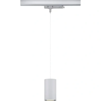 Immagine di Paulmann Kratos 96600 Lampada LED a sospensione (monocolore) 9 W Argento