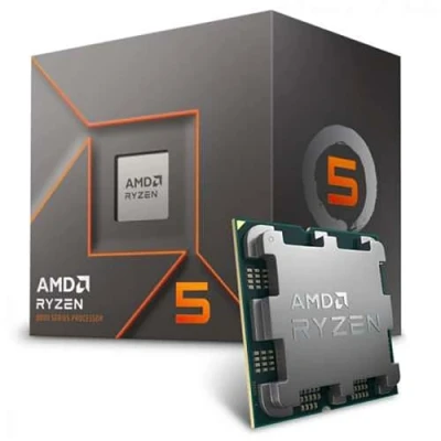 Immagine di AMD Ryzen 5 8400F 6 x 4.2 GHz Hexa Core CPU (Boxed) Attacco (PC): #####AMD AM5 65 W