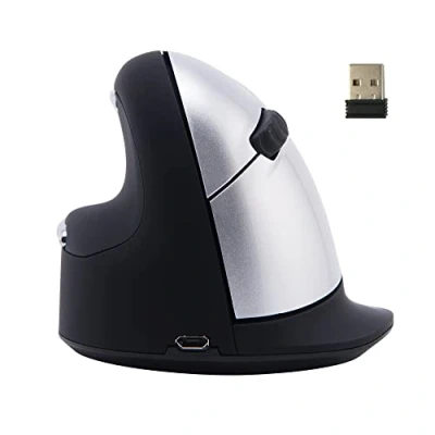 Immagine di R GO Tools HE (RGOHELELAWL) Mouse ergonomico Senza fili (radio) Dimensione: L Ottico Nero / Argento 5 Tasti 2500 dpi Ergonomico, Ricaricabile, Porta USB,