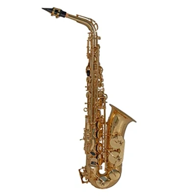 Immagine di Roy Benson Eb Alt Saxophone AS 202 (corpo in ottone, chiave F# alta, accessori completi inclusi, con cinghia di trasporto, sassofono qualità superiore, per i musicisti più esigenti)