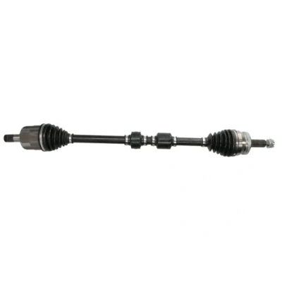 Immagine di Albero motore/Semiasse PASCAL G20013PC