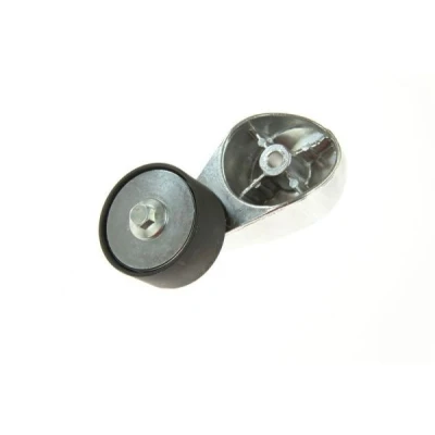Immagine di Tendicinghia, Cinghia Poly V BTA B05 01 014
