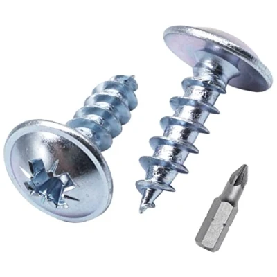 Immagine di SKIR&#039;CO 30 viti in acciaio zincato 6,0 x 20 mm argento legno metallo, testa wafer, Pozidriv, autofilettanti