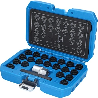 Immagine di BRILLIANT TOOLS BT691390 Assortimento di bulloni dei Cerchi per VW, 22 pz [Powered by KS Tools]