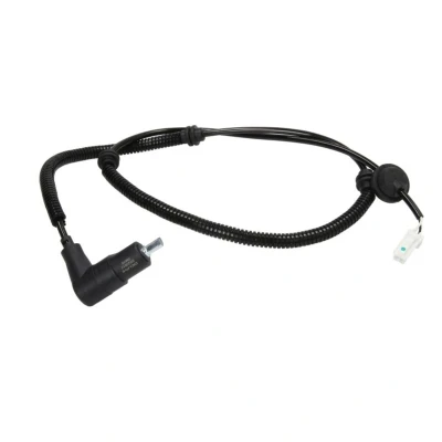 Immagine di DELPHI SS20517 Sensore ABS passivo 975
