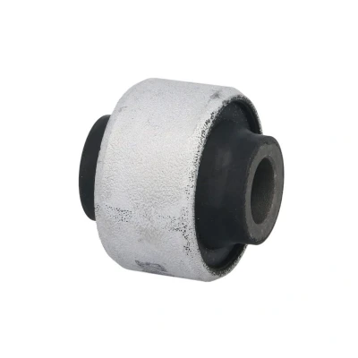 Immagine di DELPHI TD1854W Silent Block