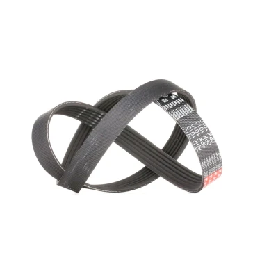 Immagine di GATES 6PK1010 Cinghia Poly V 1010 6 Poliestere, EPDM (Etilene Propilene Diene Caucciù) RoadMax Value Line PEUGEOT: 206 Hatchback, SW, Van
