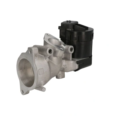 Immagine di Valvola EGR DELPHI EG10591