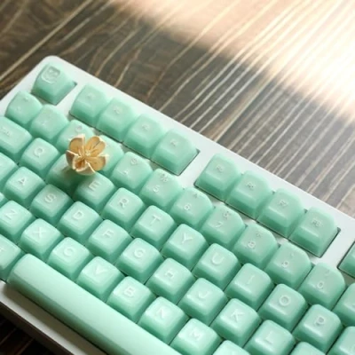 Immagine di Keycap Traslucidi di Giada, 142 Tasti/ABS/Profilo SA/Keycap Doppio per Tastiera Meccanica Personalizzata MX Switch (Color : Jade)
