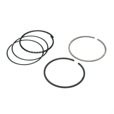 Immagine di GOETZE ENGINE 08 527000 00 Kit Fasce Elastiche 76
