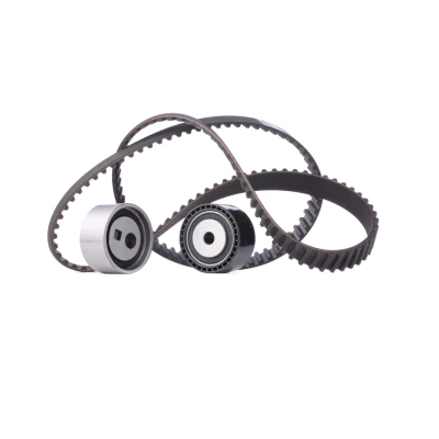Immagine di SKF VKMA 03248 Kit cinghia di distribuzione 144 con profilo dente arrotondato LANCIA: Phedra, FIAT: Ulysse II, Scudo I Van, CITROËN: C8