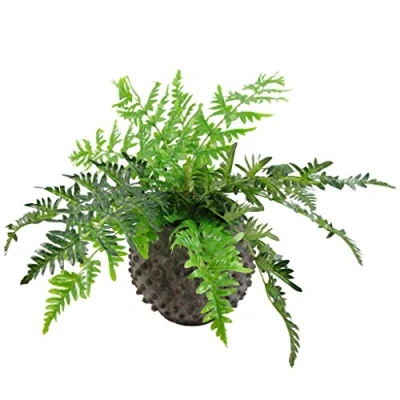 Immagine di Leaf Grande pianta artificiale con vaso, materiali misti, felce frontale, 50 cm