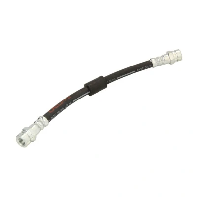 Immagine di DELPHI LH7202 Tubi Freno 256 M10x1 INT SF VOLKSWAGEN: Touran I
