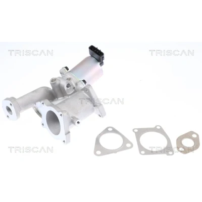 Immagine di TRISCAN 8813 24101 Valvola EGR elettrico con guarnizioni OPEL: Astra H Hatchback, Caravan, GTC