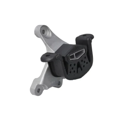 Immagine di Supporto, Cambio REINHOCH RH12 0043