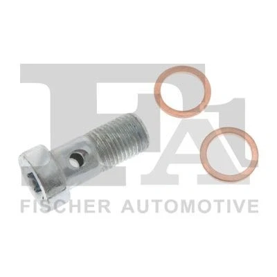 Immagine di FA1 989 10 013.021 Vite cava, Compressore
