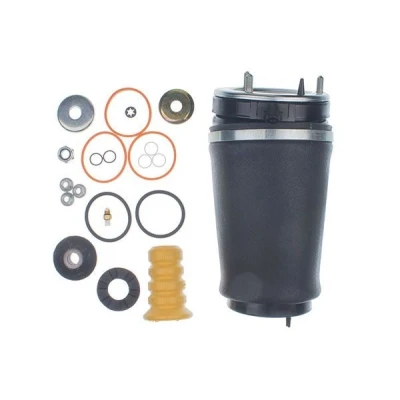 Immagine di DENCKERMANN DSA124G Molla pneumatica, Autotelaio Assale anteriore Dx LAND ROVER: Range Rover 3