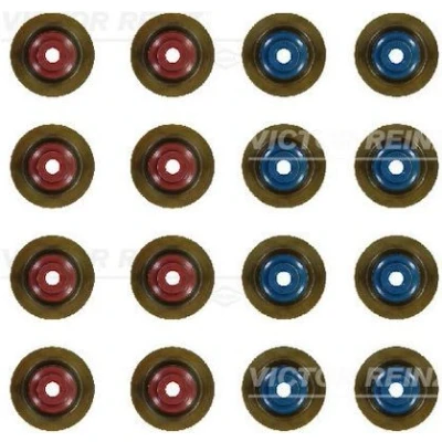 Immagine di REINZ 12 10012 01 Kit guarnizioni, Gambo valvola FPM (Fluoro Caucciù) OPEL: Zafira C Tourer, Astra J Hatchback