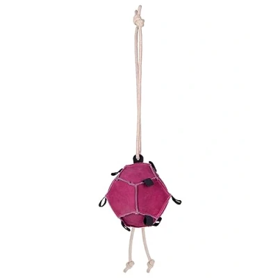 Immagine di QHP Horse toy ball