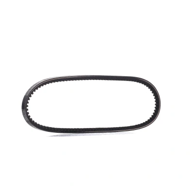 Immagine di Cinghia trapezoidale DAYCO 10A0725C
