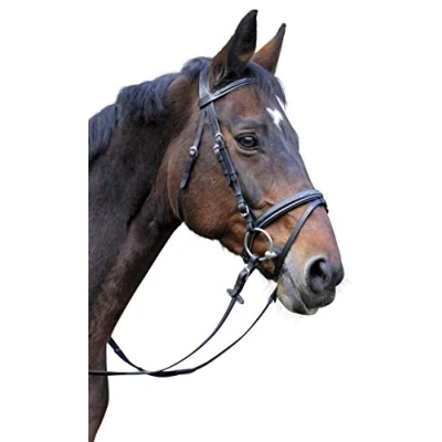 Immagine di Covalliero Kerbl Briglia Classic in Pelle, Sangue Caldo, Marrone, 324913
