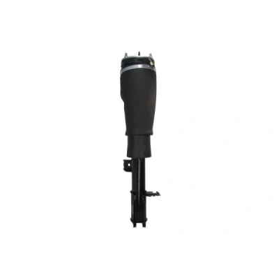 Immagine di Magnum Technology APL017MT Gamba elastica con ammortiz. pneumatico anteriore Sx LAND ROVER: Range Rover 3