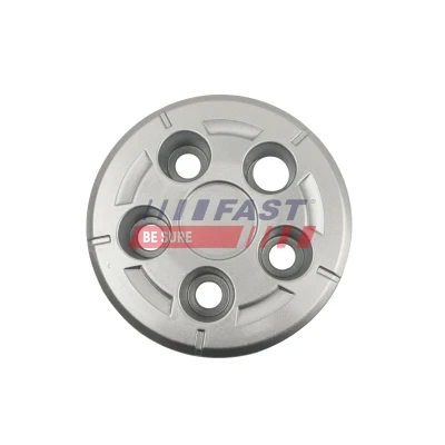 Immagine di FAST FT92109 Coprimozzo, Ruote