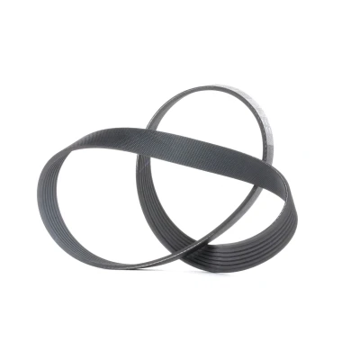 Immagine di GATES 7PK1078 Cinghia Poly V 1078 7 Poliestere, EPDM (Etilene Propilene Diene Caucciù) RoadMax Value Line FIAT: Ducato III Van, II Van