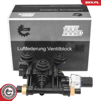 Immagine di ESEN SKV 93SKV823 Valvola, Imp. aria compressa Valvola a più vie