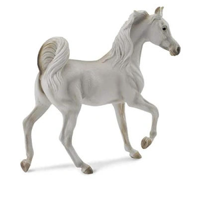 Immagine di Giumenta Araba Grigia Collecta cod. 88476