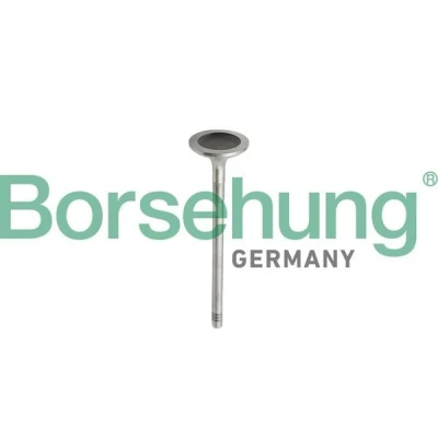 Immagine di Borsehung B10343 Kit Fasce Elastiche MERCEDES BENZ: Classe E Coupe, C Sedan, Sedan