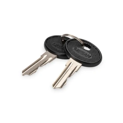 Immagine di Digitus DN 19 KEY 4444 pollici Chiave per armadio di rete Nero, Argento