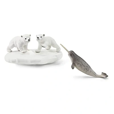 Immagine di SCHLEICH Polar Playground, multicolore