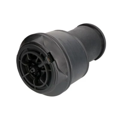 Immagine di Magnum Technology MZC001MT Molla pneumatica, Autotelaio Assale posteriore CITROËN: C4 I Grand Picasso, Picasso 1