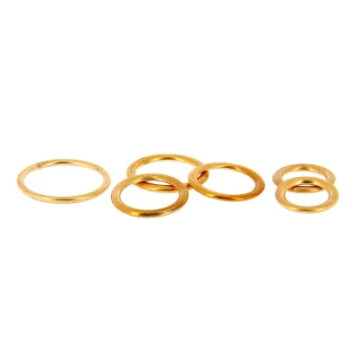 Immagine di XL 300008 Anello di tenuta