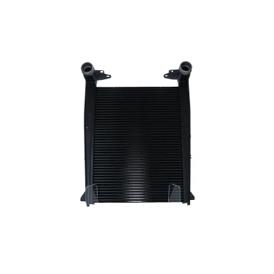 Immagine di NRF 30219 Intercooler